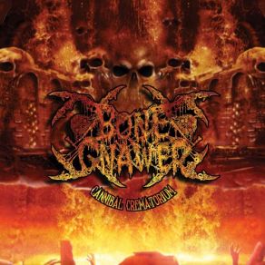 Download track Chrome Skull Bone Gnawer