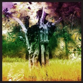 Download track Man Of Oil Animal Collective