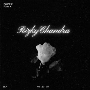 Download track Sayap Kecilku Rizky Chandra