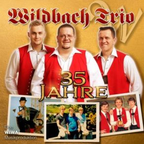 Download track 35 Jahre San Wir Beinand Wildbach Trio