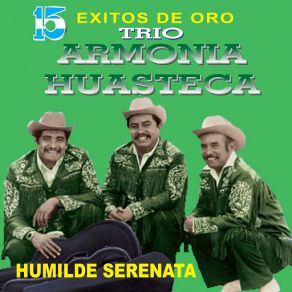 Download track Mi Rival Trio Armonia Huasteca