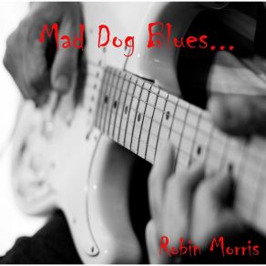 Download track Barrel House Blues Robin Morris