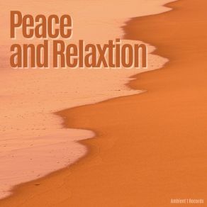 Download track Peace And Relaxation, Pt. 18 Insomnia Cure Maestro