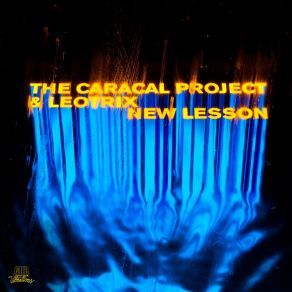 Download track New Lesson Leotrix, The Caracal Project