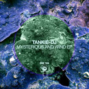 Download track Mysterious And Wind Tankie-DJ