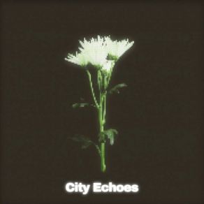 Download track City Echoes (Sped Up) The Young Luiz