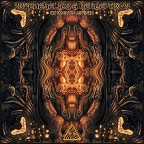 Download track Psychedelics & Perceptions Moksha Mantra