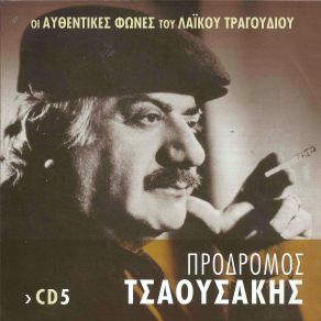 Download track ΓΙΑΤΙ, ΜΙΚΡΟΥΛΑ ΜΟΥ ΤΣΑΟΥΣΑΚΗΣ ΠΡΟΔΡΟΜΟΣ