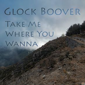 Download track Take Me Where You Wanna Glock Boover