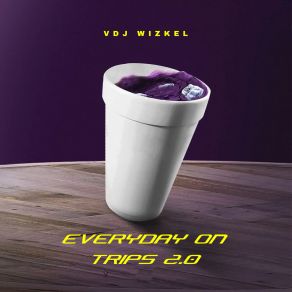 Download track Everyday On Trips, Pt. 2 VDJ WIZKELDj WIZKEL