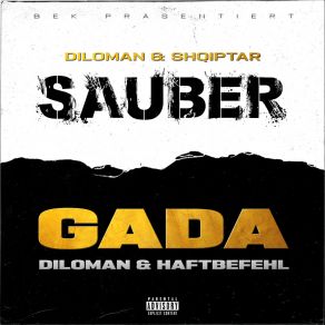 Download track Sauber DilomanShqiptar