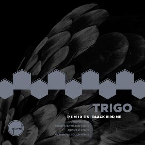 Download track Black Bird (Lement K Remix) TrigoLement K