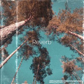 Download track Reverb (Intro) Alin