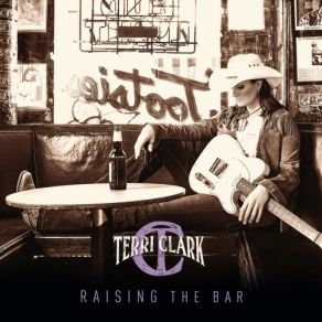 Download track Givin' Up Givin' A Damn Terri Clark