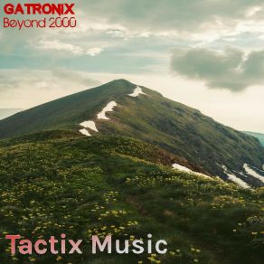 Download track Crossroads (Original Mix) Gatronix