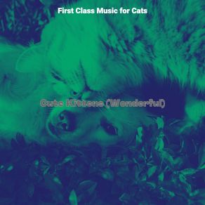 Download track Sleeping Cats - Ambience First Class Music For Cats