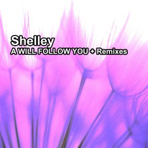 Download track I Will Follow You (Club Radio Mix) Shelley