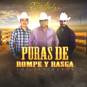 Download track Ya Borracho Que Horas Son Los Estimados