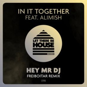 Download track Hey Mr DJ (Freiboitar Extended Remix) In It Together, Alimish