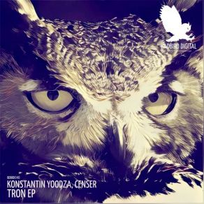 Download track The Legasy (Censer Remix) Konstantin Yoodza