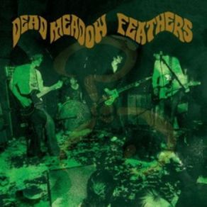 Download track Let It All Pass Dead Meadow