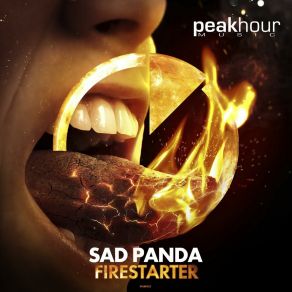 Download track Firestarter (Radio Edit) Sad Panda