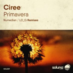 Download track Primavera (Numedian Remix) Ciree