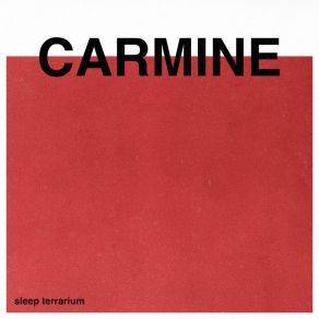 Download track Carmine Sleep Terrarium