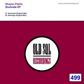 Download track Revenge (Original Mix) Shayan Pasha