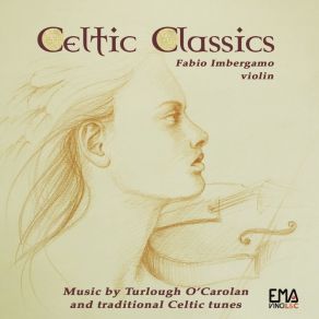 Download track Irish Washerwoman And Swallowtail Jig Fabio Imbergamo