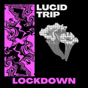 Download track Lockdown (Radio Edit) Lucid Trip