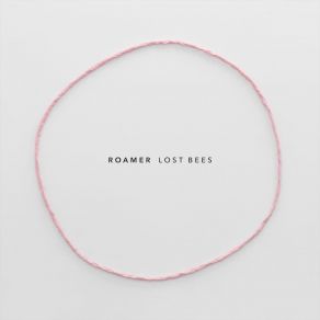 Download track Lost Bees Roamer