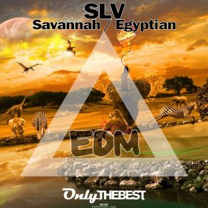 Download track Savannah Slv