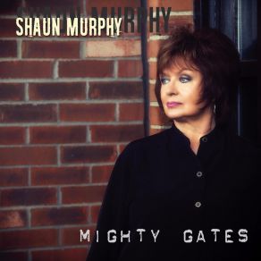 Download track I Dont Need Nobody Shaun Murphy