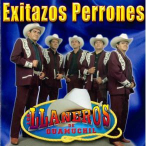 Download track Humilde Serenata Los Llaneros De Guamuchil