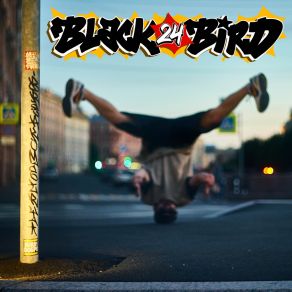 Download track Electro Funk Black24Bird