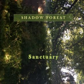 Download track Morning Ritual Shadow Forest