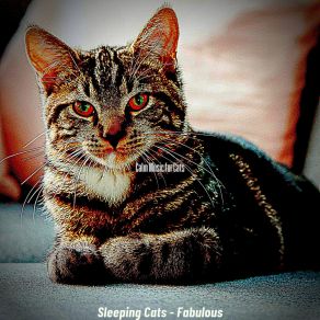 Download track Ambience (Relaxing Cats) Calm Music For Cats