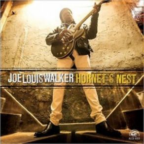 Download track Not In Kansas Anymore Joe Louis Walker