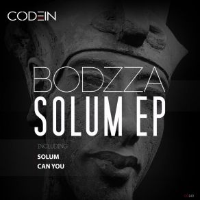 Download track Can You (Original Mix) Bodzza