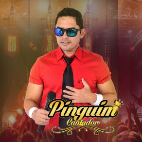 Download track Quero Ser Seu Par Pinguim Cantador