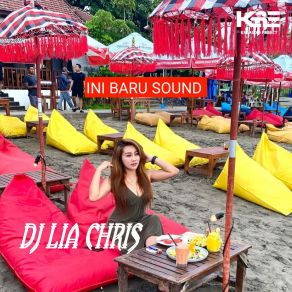 Download track PUCHO HANDS UP Dj Lia Chris