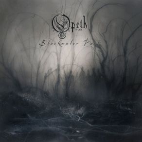 Download track The Drapery Falls Opeth