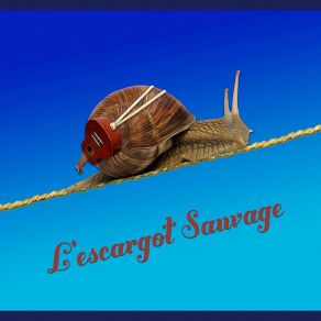 Download track Tu Pleures Tu Ris L'escargot Sauvage