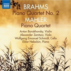 Download track Piano Quartet No. 2 In A Major, Op. 26 I. Allegro Non Troppo Wolfgang Emanuel Schmidt, Eldar Nebolsin, Alexander Zemtsov, Anton Barakhovsky