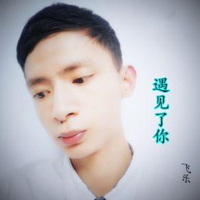 Download track 遇见了你 飞乐