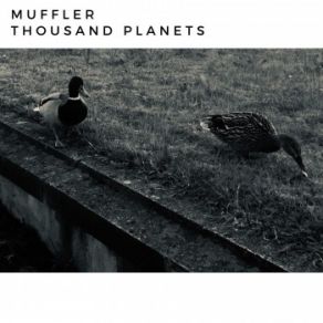 Download track November (Lo-Fi Hip-Hop Mix) Muffler