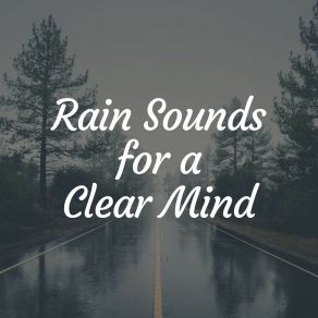 Download track Thundering Rain For Peaceful Reading, Pt. 3 24H Rain Sounds