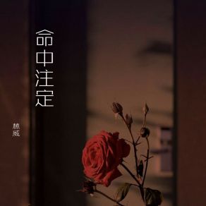 Download track 秘密 Lin Wei