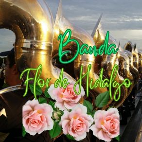 Download track El Quebradito Banda Flor De Hidalgo